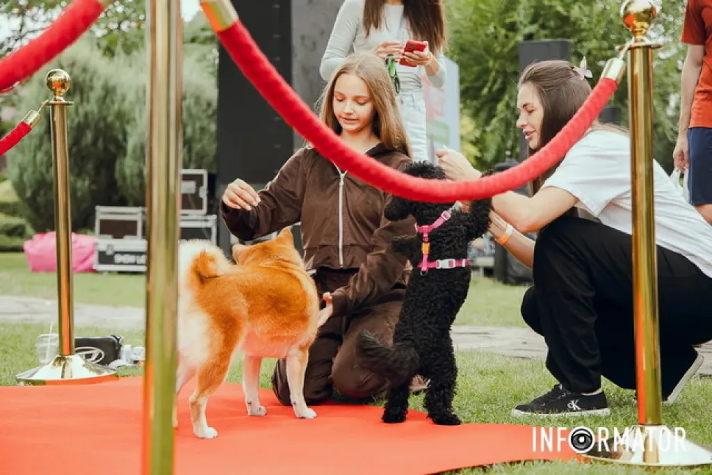 У Дніпрі стартував Dogs Guru Fest: свято для собак та їхніх власників