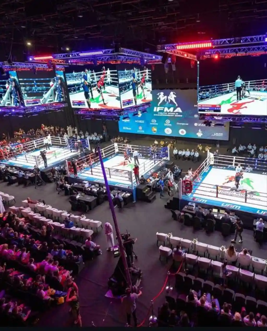 Бійці з Дніпропетровщини здобули 7 медалей на чемпіонаті світу з Муай Тай