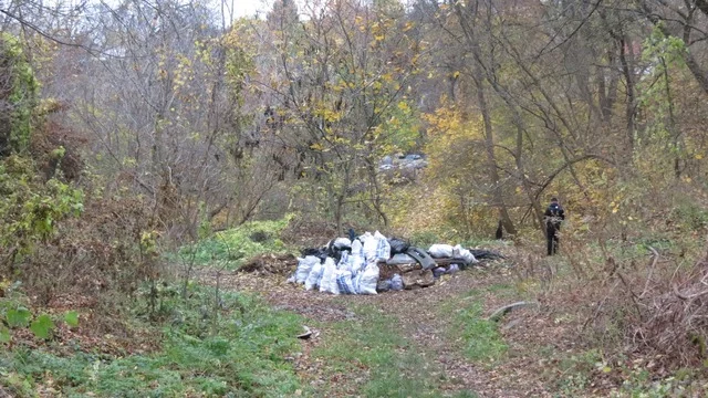 Екоактивісти Дніпра очистили Аптекарську балку від сміття