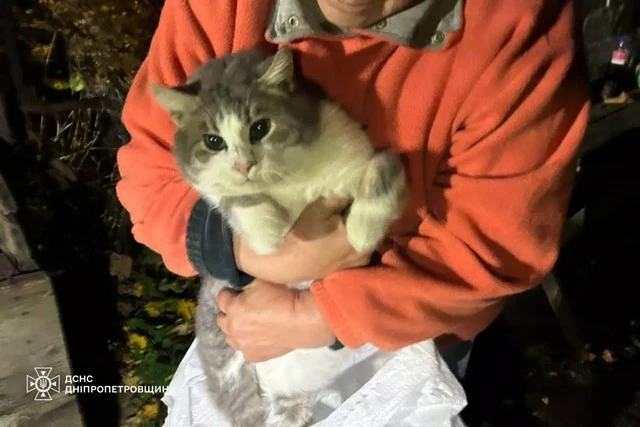 У Дніпровському районі рятувальники підняли кота з дев’ятиметрового колодязя