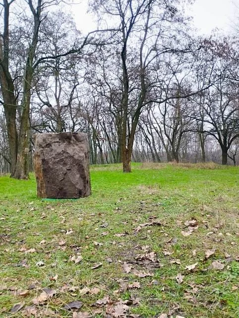 У Дніпрі навели лад у Лісопарку Дружби після звернень волонтерів