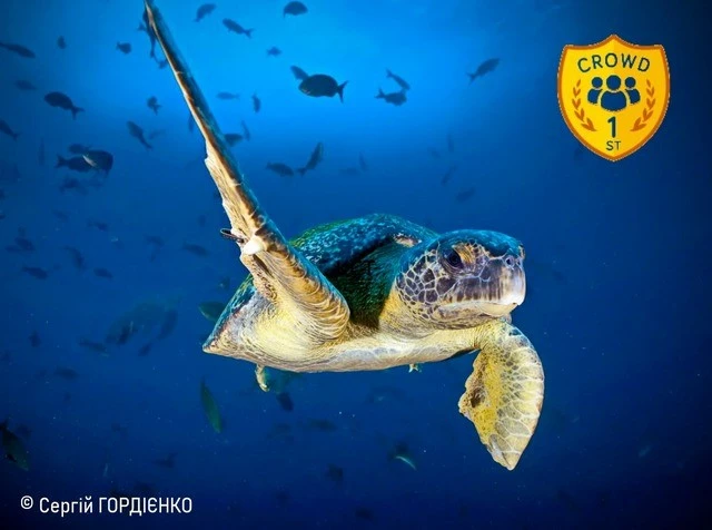 Дніпровський мандрівник Сергій Гордієнко здобув перемогу на міжнародному фотоконкурсі