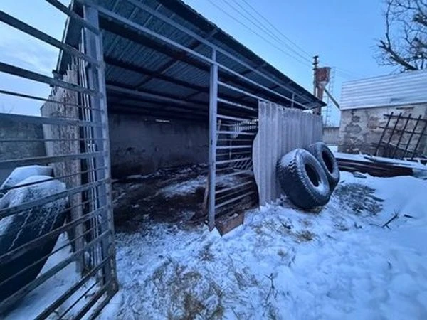 Лев Хан врятований від морозів на Дніпропетровщині