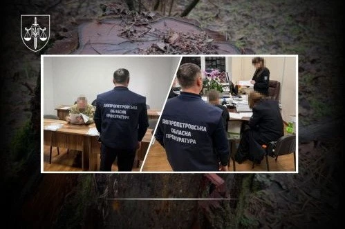 Санітарні рубки без дозволів: на Дніпропетровщині посадовцям лісгоспу оголосили підозру