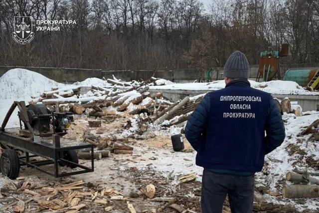 На Дніпропетровщині викрили масштабну незаконну вирубку лісу з мільйонними збитками