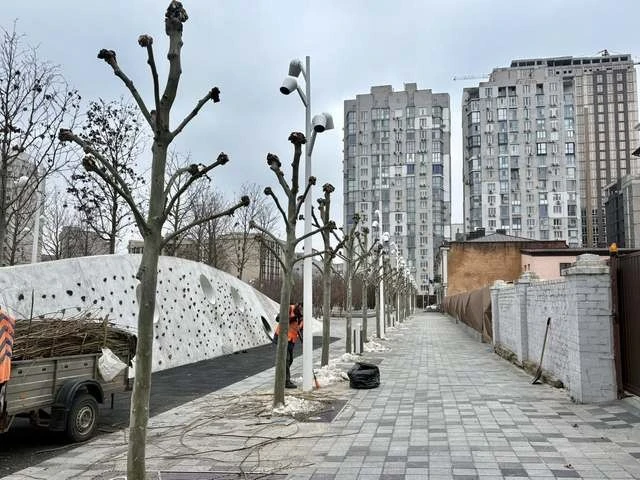 На Успенській площі у Дніпрі оновлюють зелені насадження: комунальники формують крони платанів