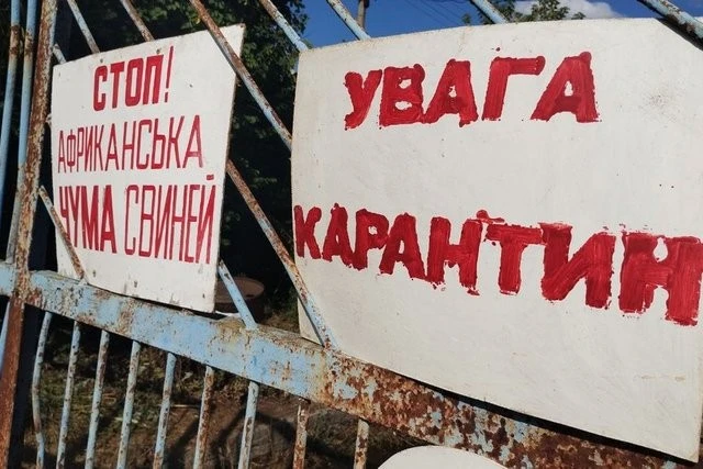 Карантин через АЧС на Дніпропетровщині: знищено свинопоголов’я