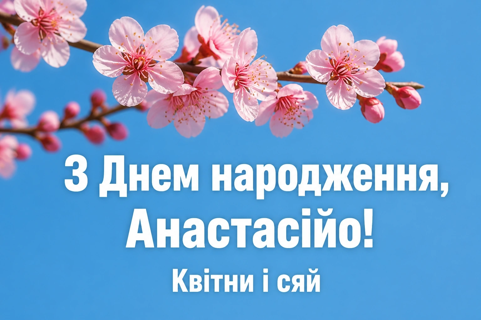 з днем народження анастасія